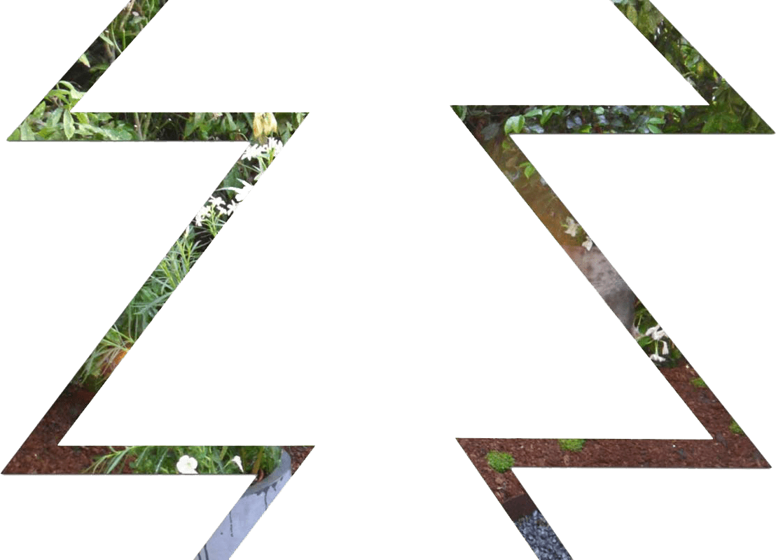 Sapin Vert Slide